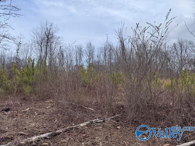 33+/- Acres County Road 1101, Vinemont, Alabama image 30