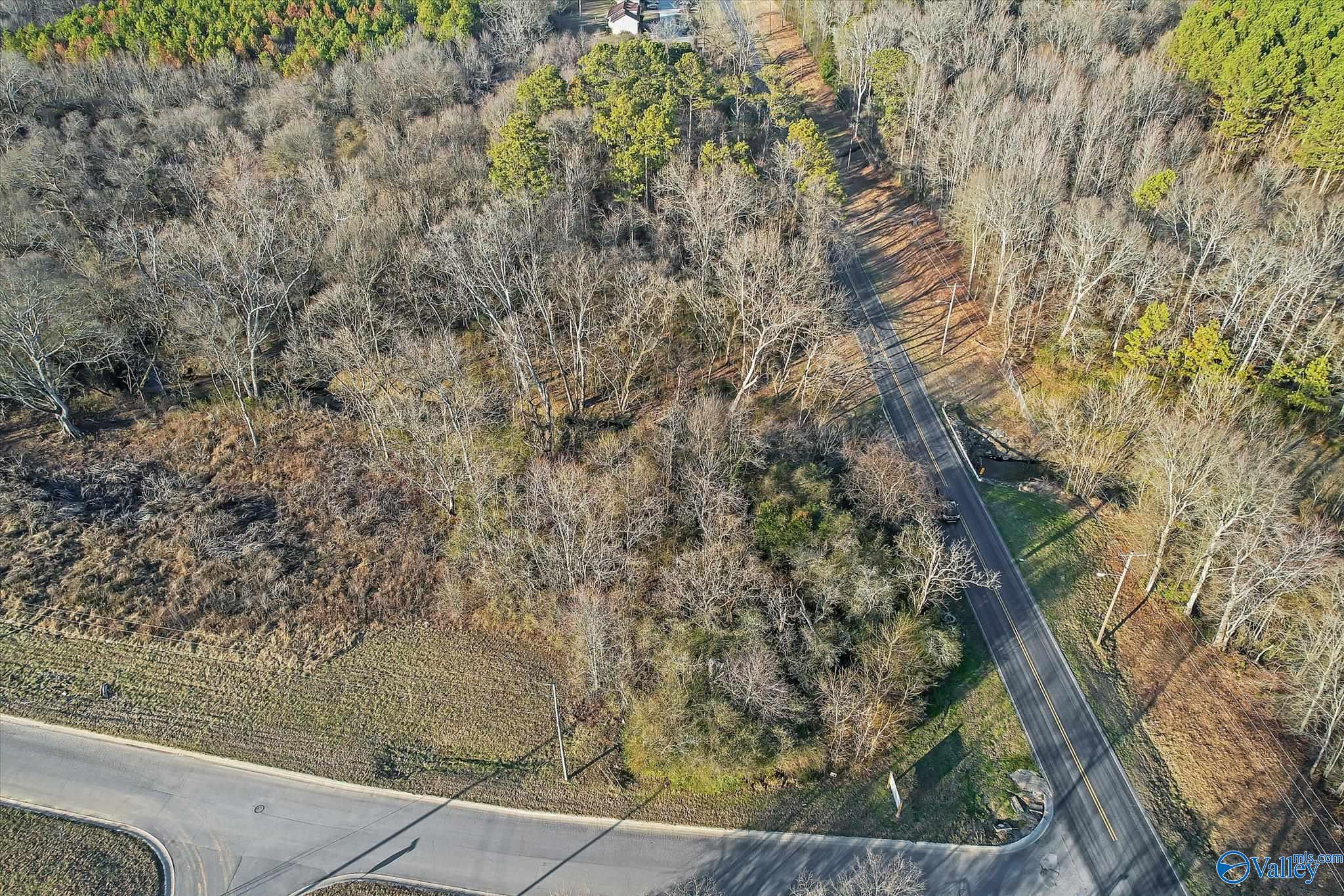 Lot 65 Paraiso Creek Drive, Albertville, Alabama image 1