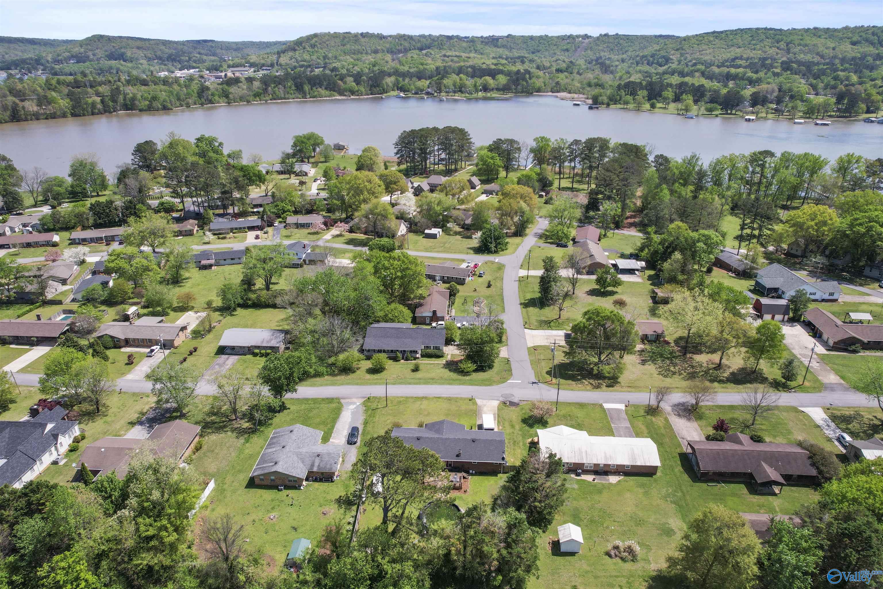 3420 Sorter Drive, Guntersville, Alabama image 22