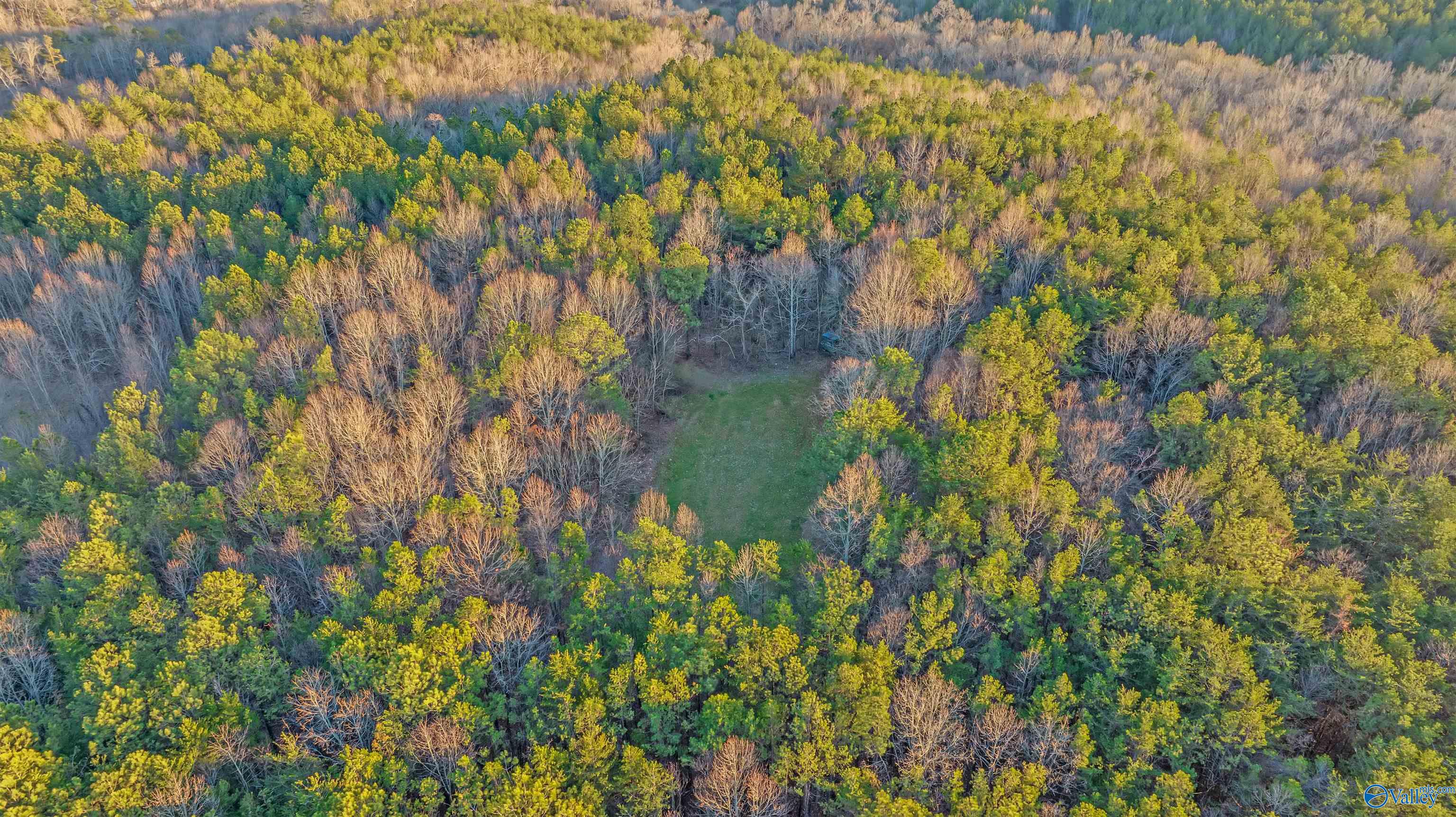 160 Acres Chisenhall Road, Fort Payne, Alabama image 12