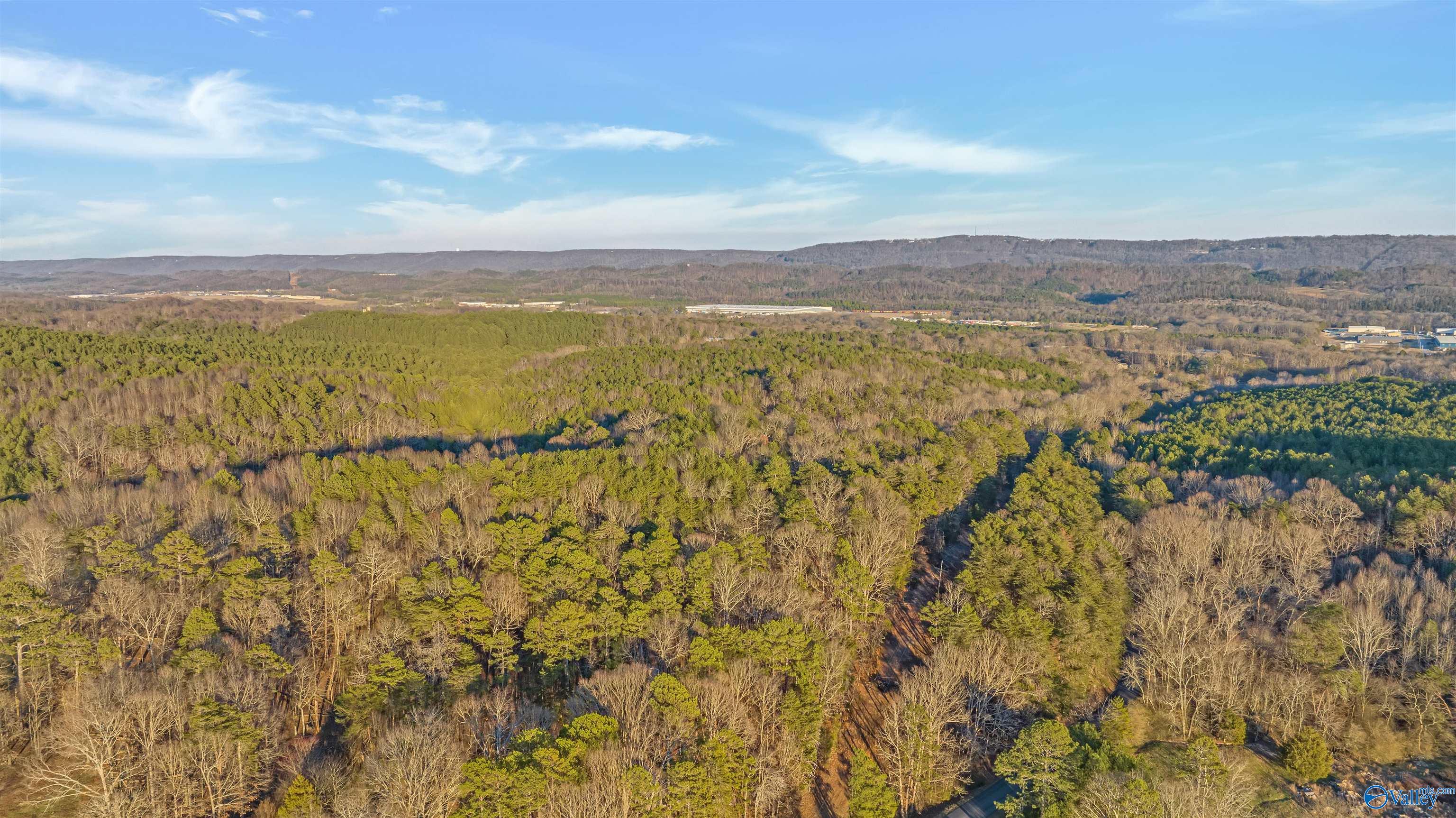 160 Acres Chisenhall Road, Fort Payne, Alabama image 5