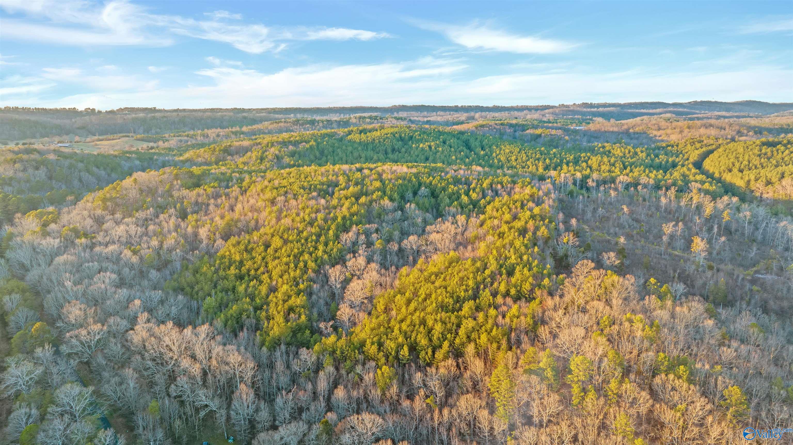 160 Acres Chisenhall Road, Fort Payne, Alabama image 23