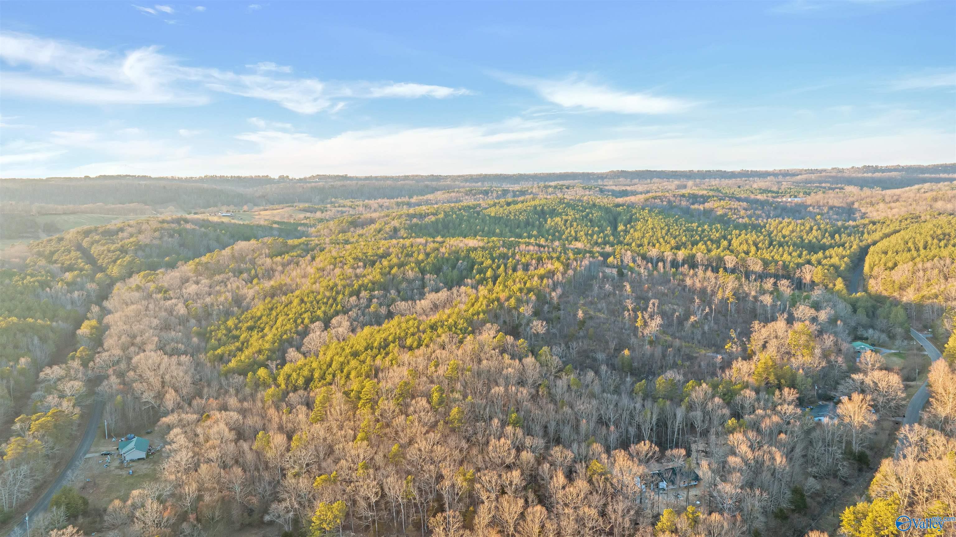 160 Acres Chisenhall Road, Fort Payne, Alabama image 9