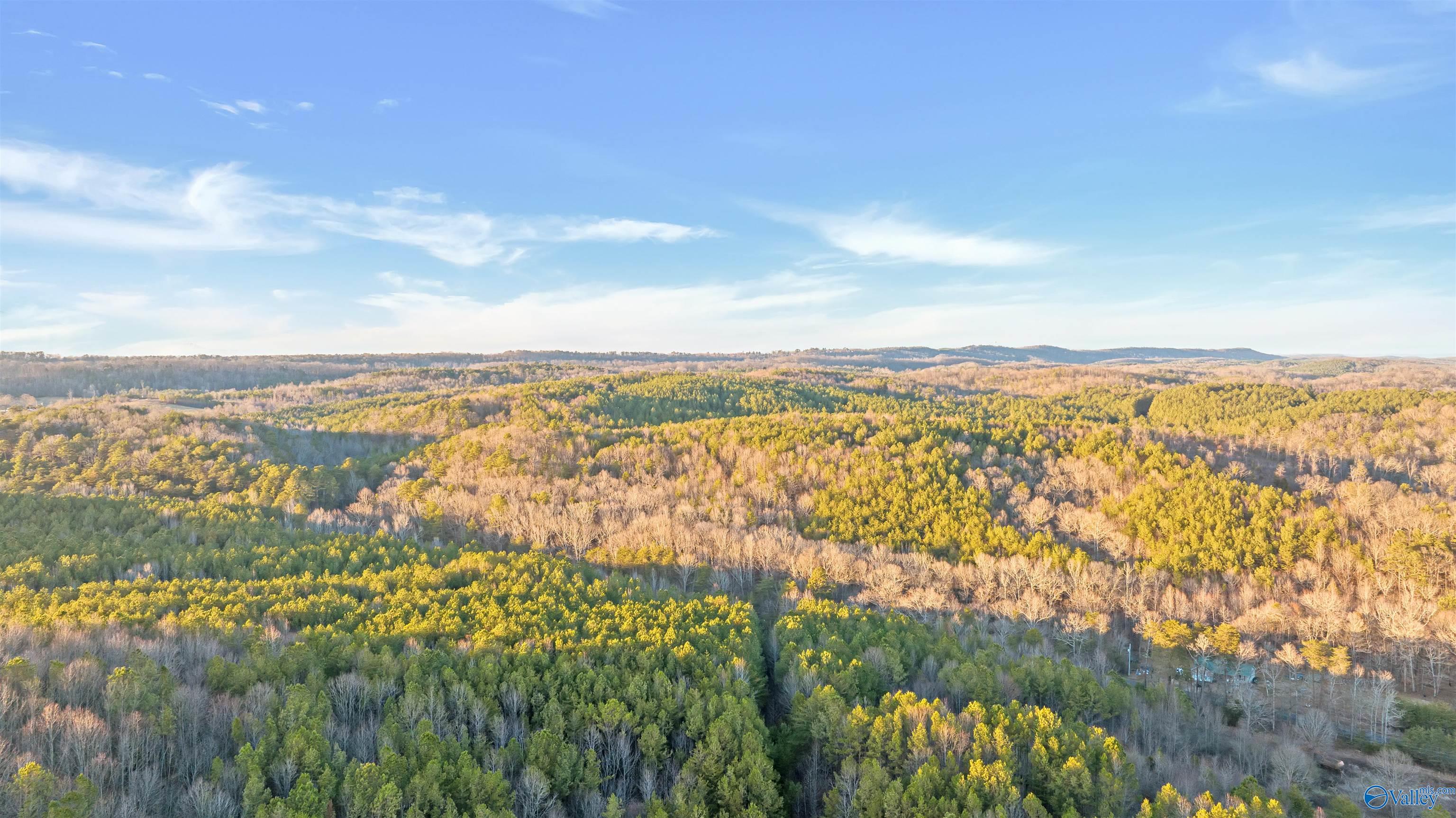 160 Acres Chisenhall Road, Fort Payne, Alabama image 7
