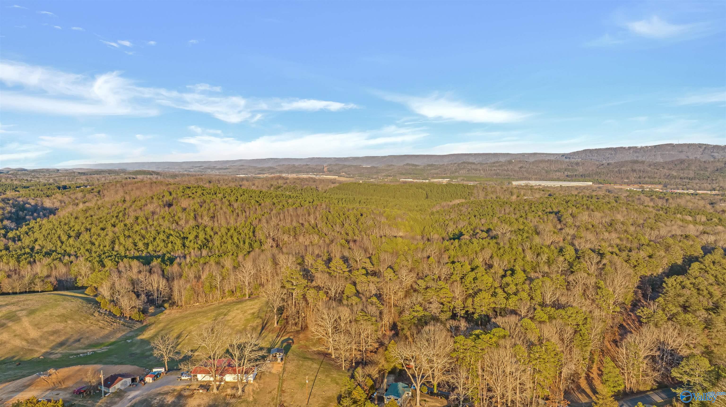 160 Acres Chisenhall Road, Fort Payne, Alabama image 2