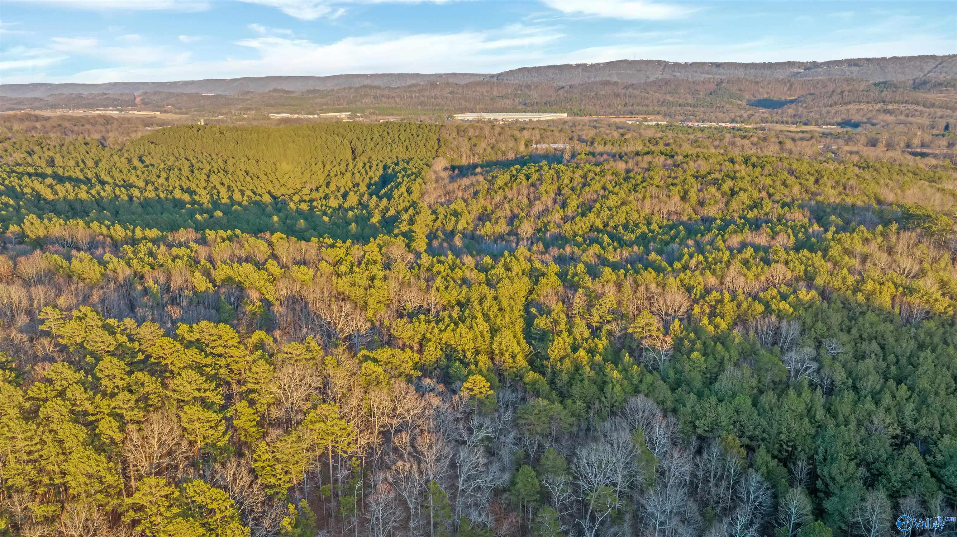 160 Acres Chisenhall Road, Fort Payne, Alabama image 14