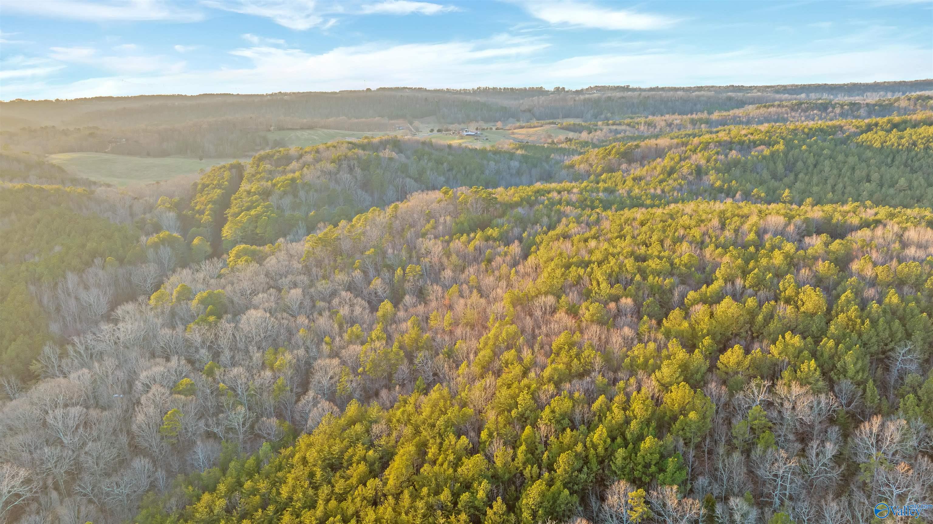 160 Acres Chisenhall Road, Fort Payne, Alabama image 21