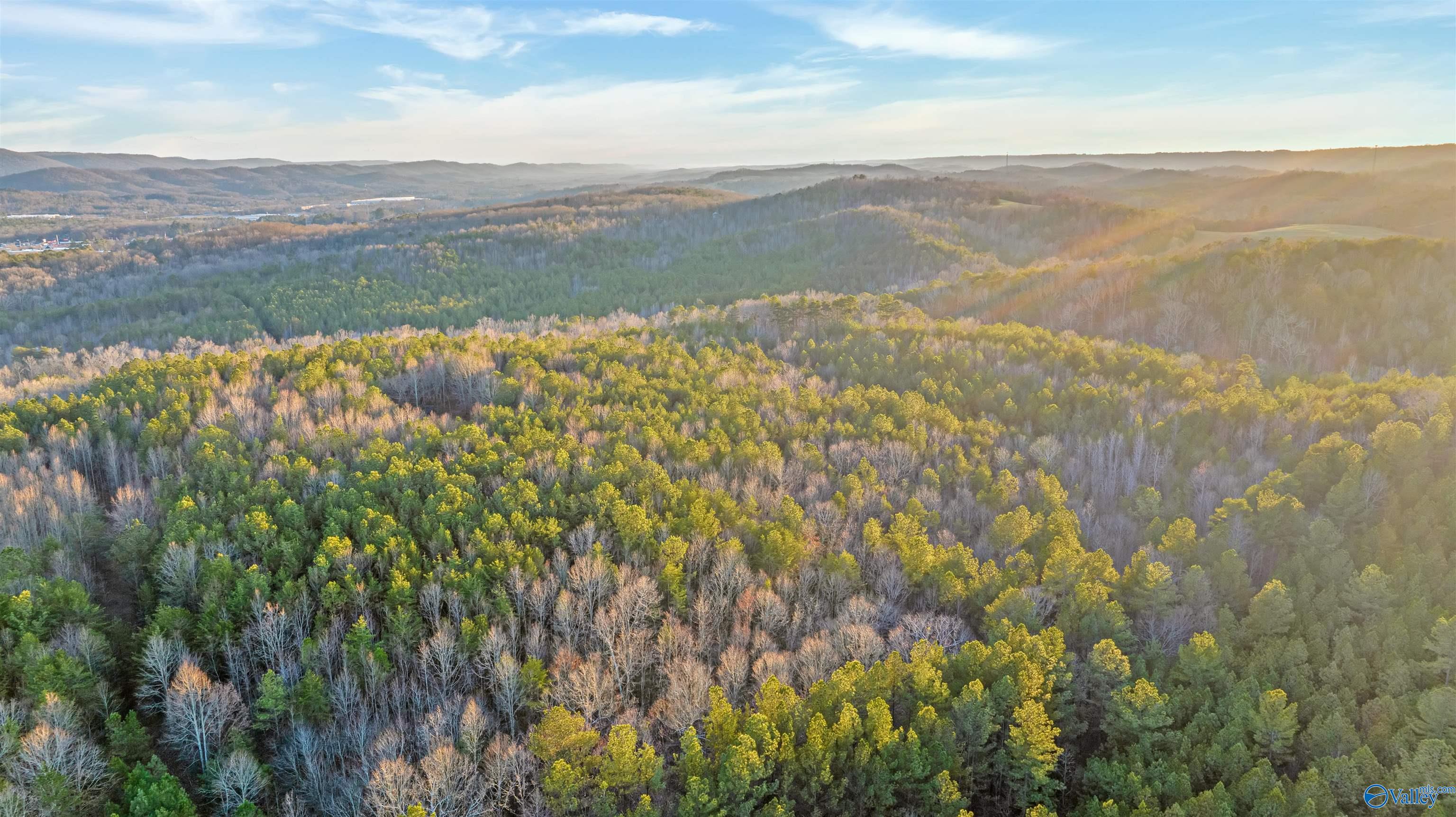 160 Acres Chisenhall Road, Fort Payne, Alabama image 20