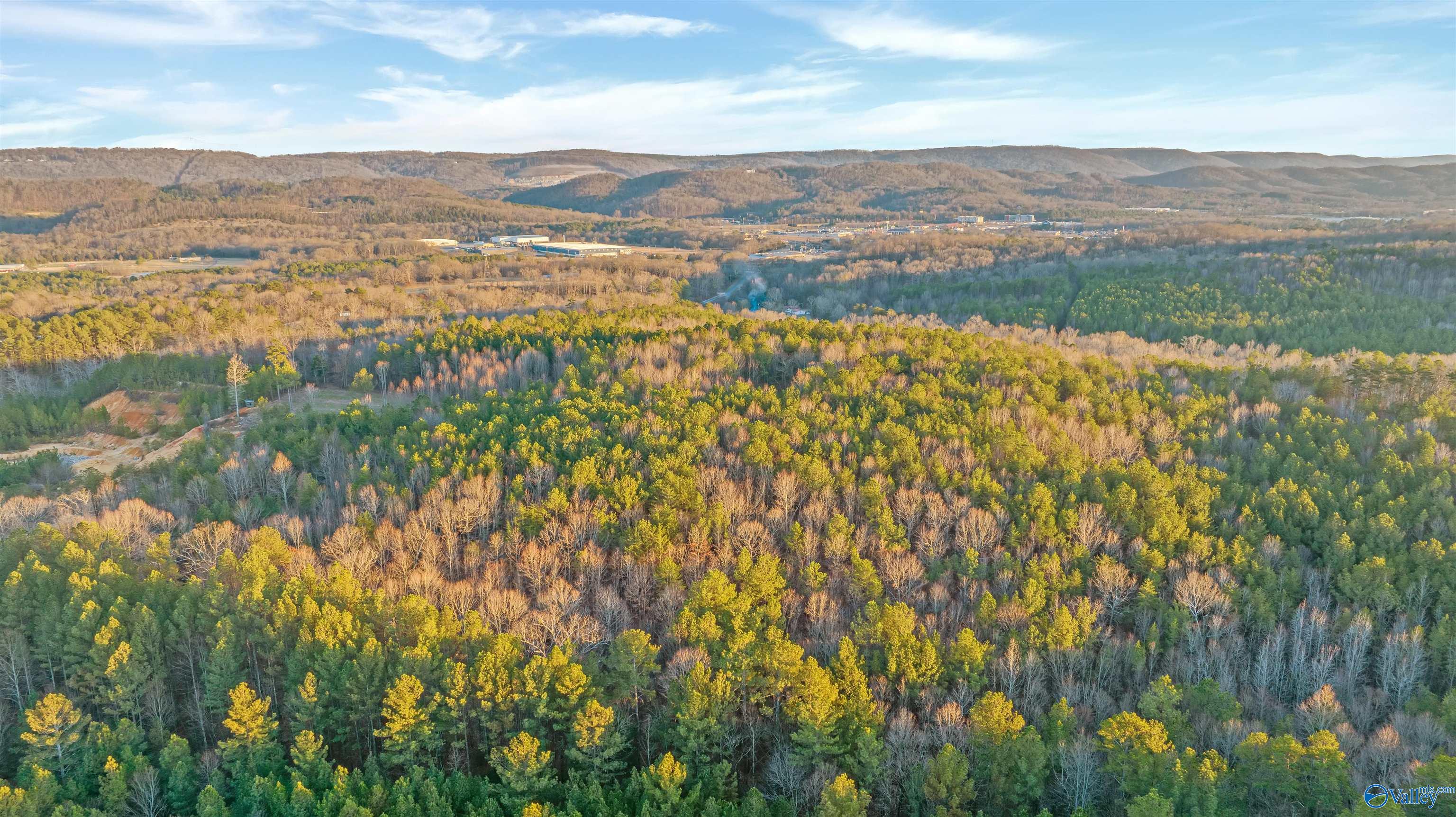 160 Acres Chisenhall Road, Fort Payne, Alabama image 19