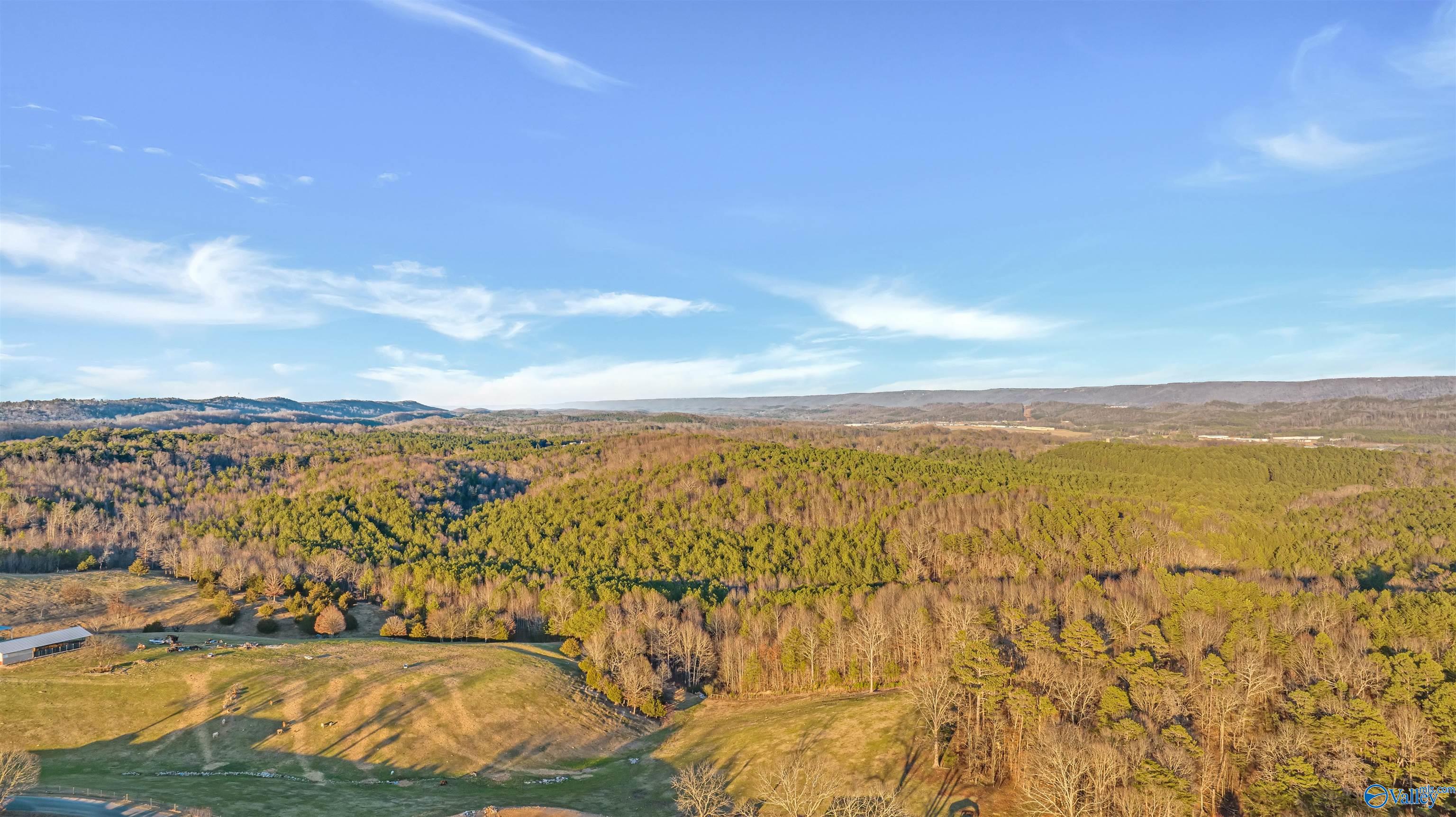 160 Acres Chisenhall Road, Fort Payne, Alabama image 3