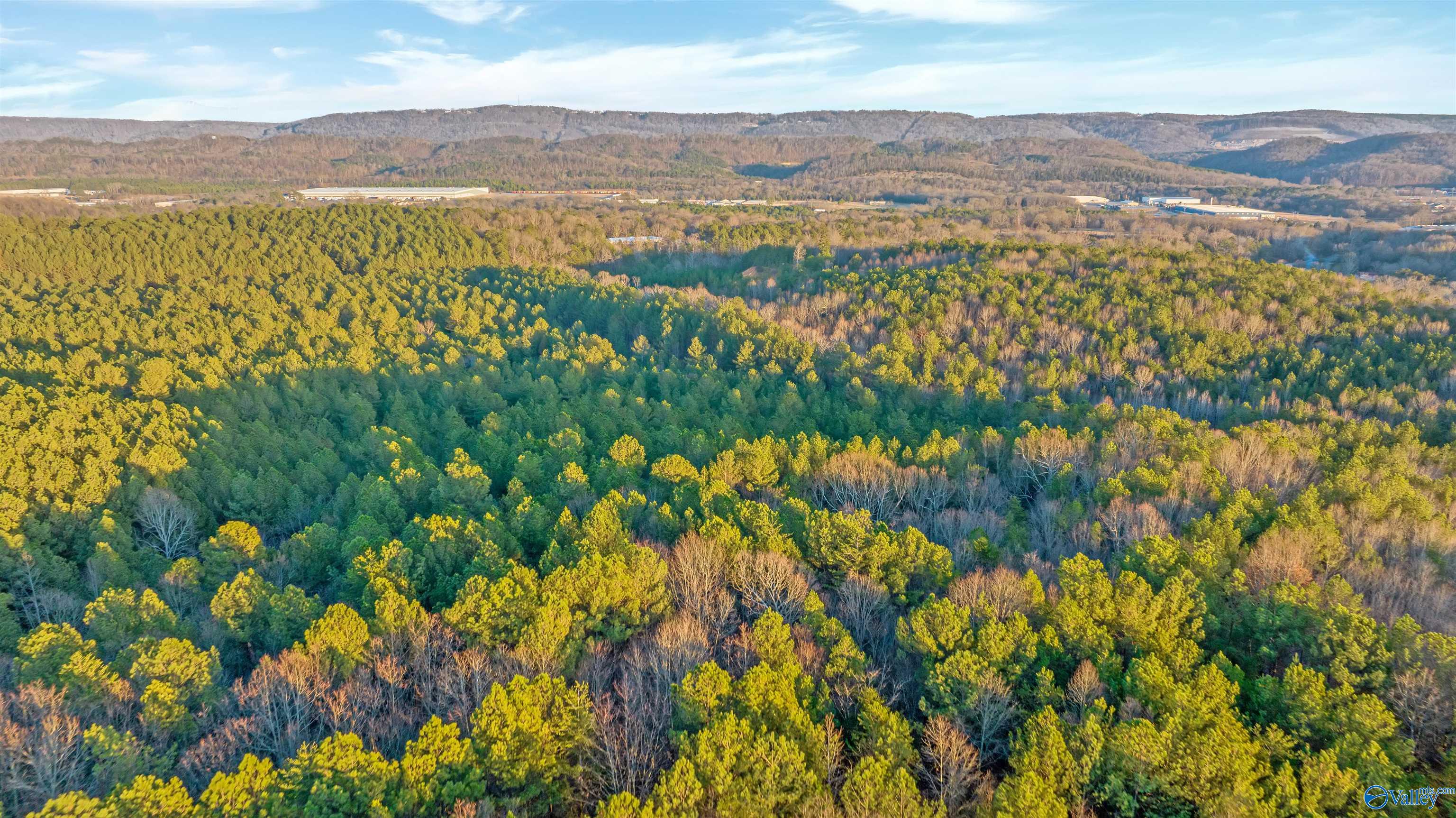 160 Acres Chisenhall Road, Fort Payne, Alabama image 17