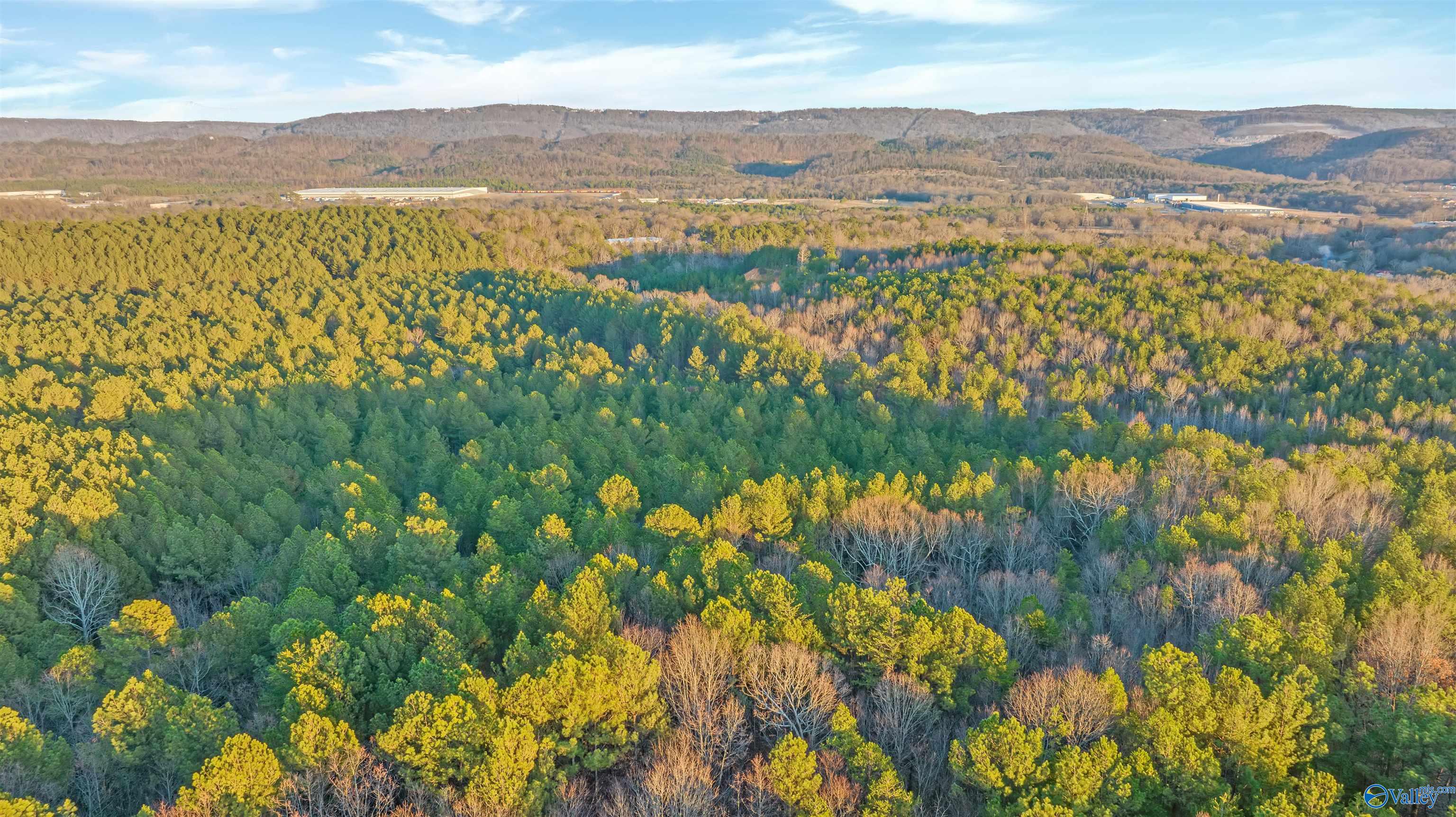 160 Acres Chisenhall Road, Fort Payne, Alabama image 18
