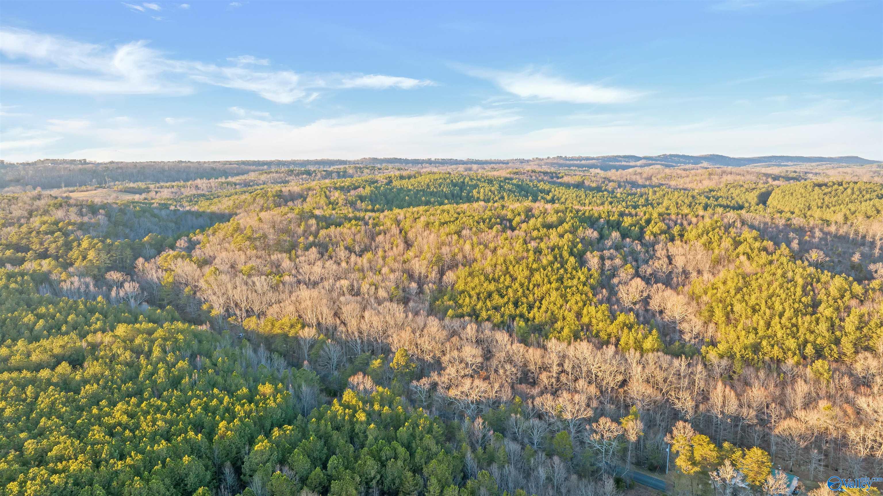 160 Acres Chisenhall Road, Fort Payne, Alabama image 6