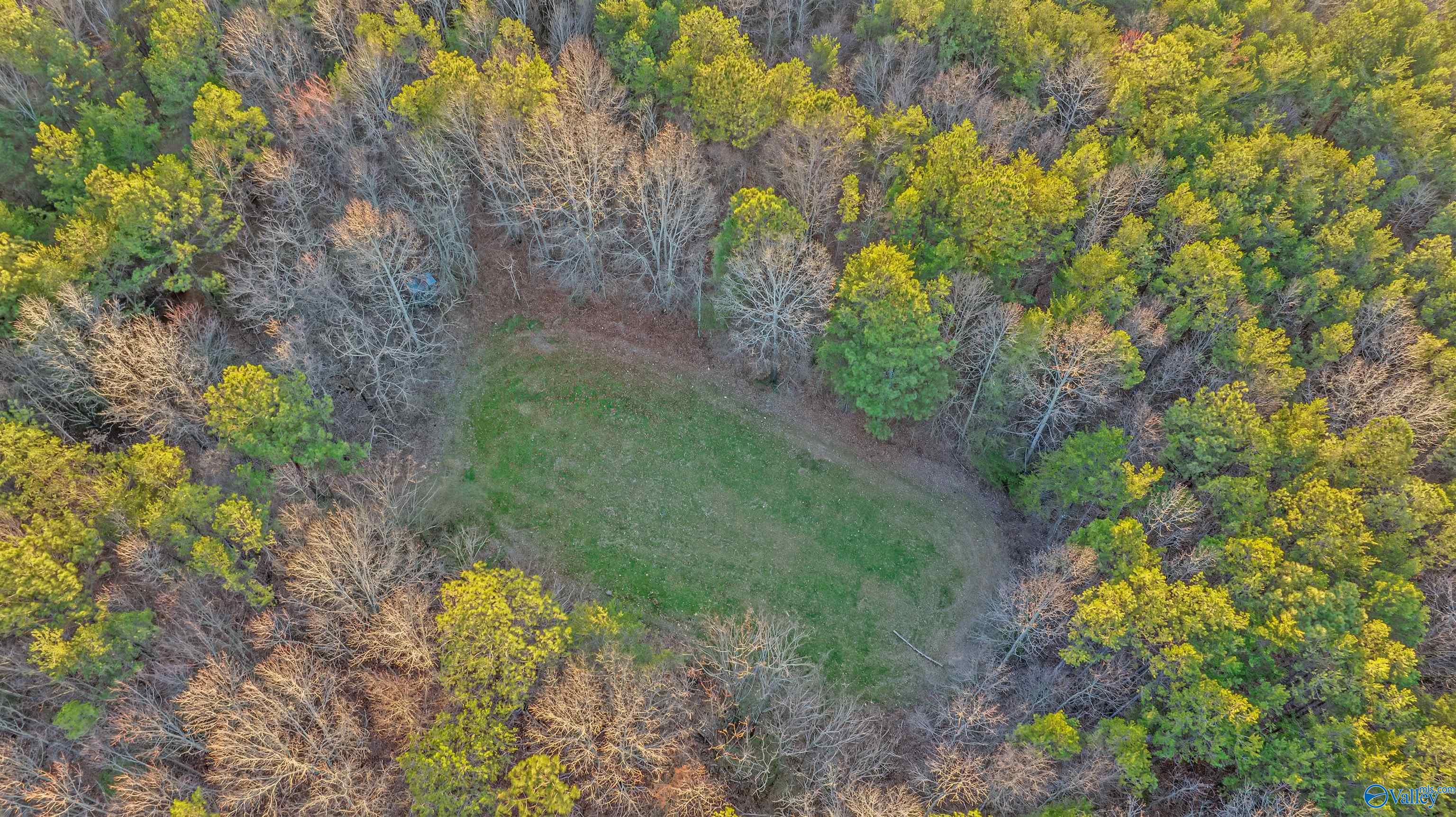 160 Acres Chisenhall Road, Fort Payne, Alabama image 13
