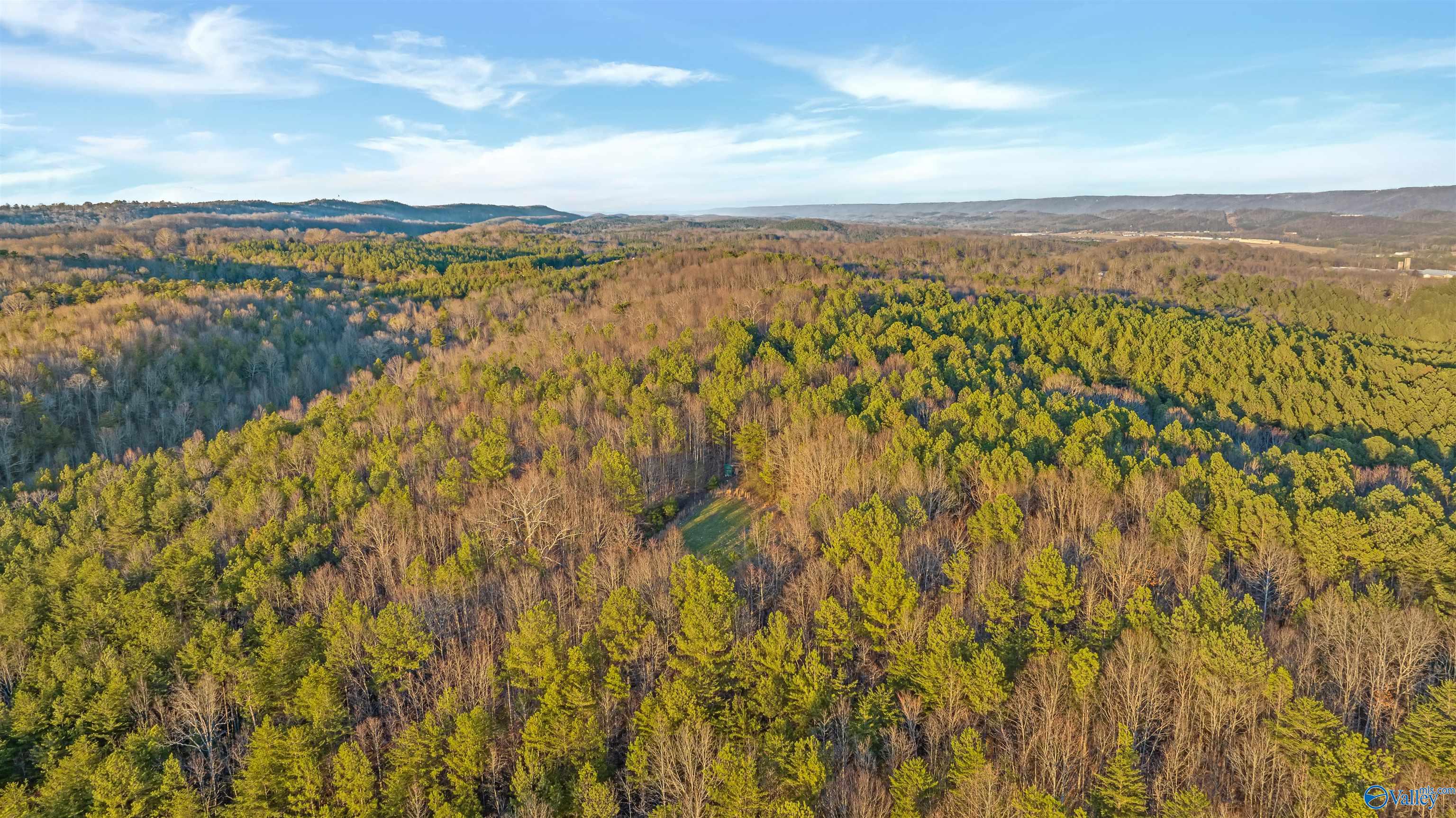 160 Acres Chisenhall Road, Fort Payne, Alabama image 15