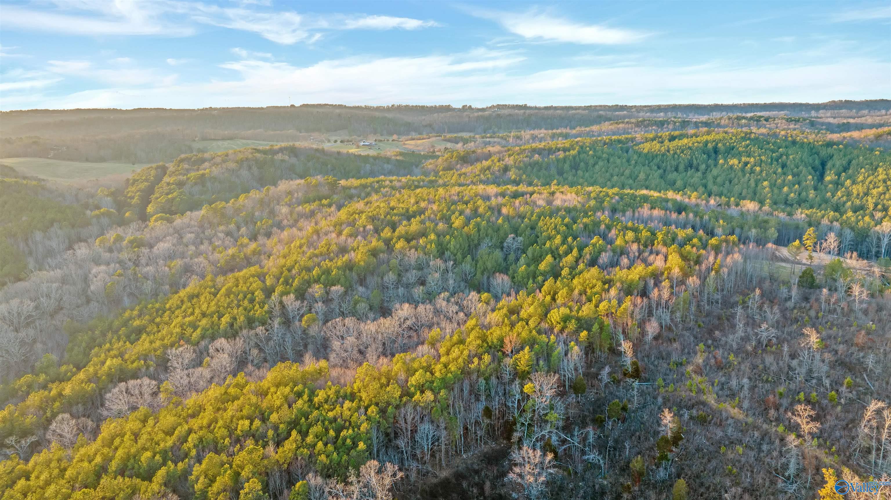 160 Acres Chisenhall Road, Fort Payne, Alabama image 22