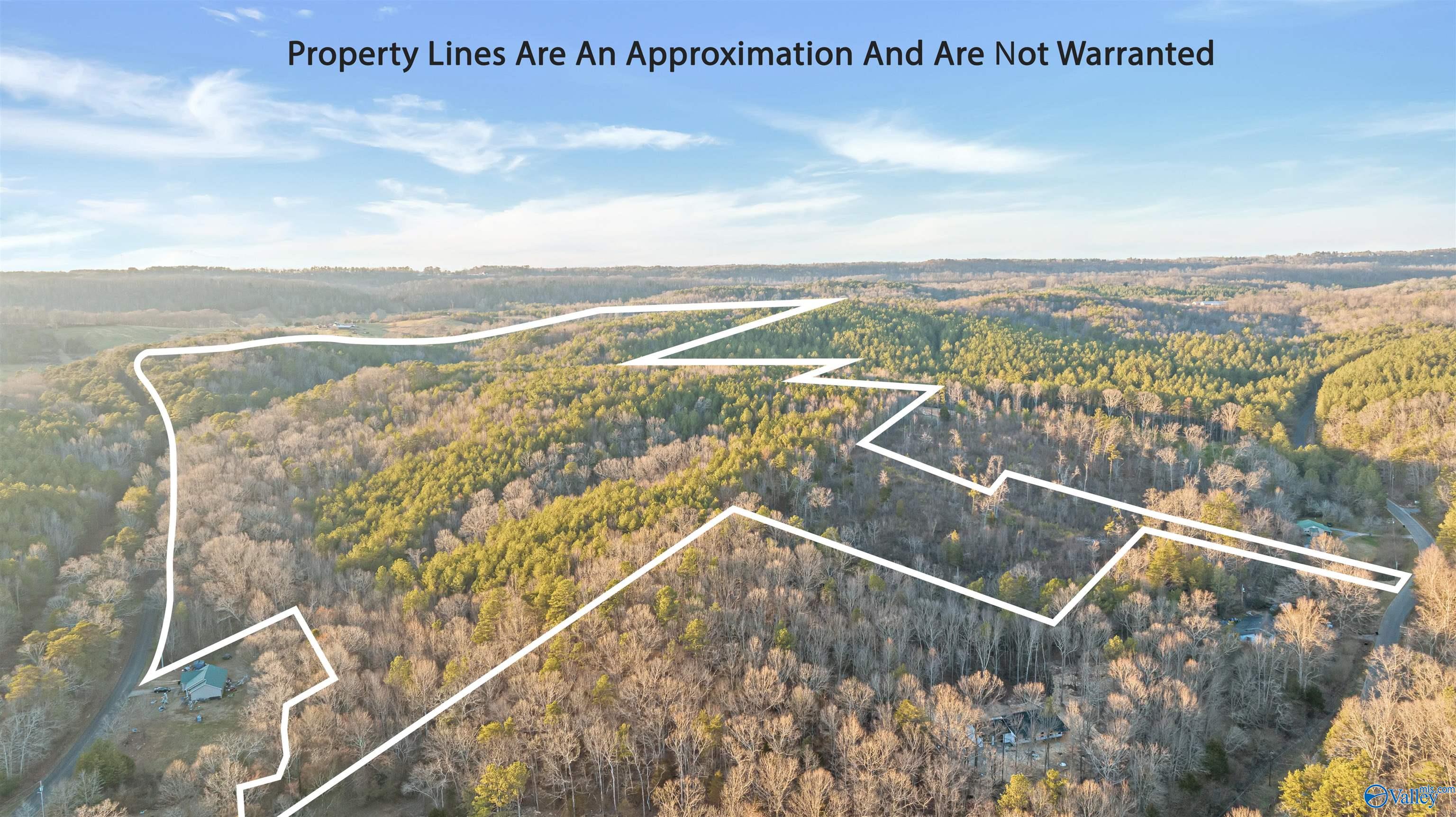 160 Acres Chisenhall Road, Fort Payne, Alabama image 1