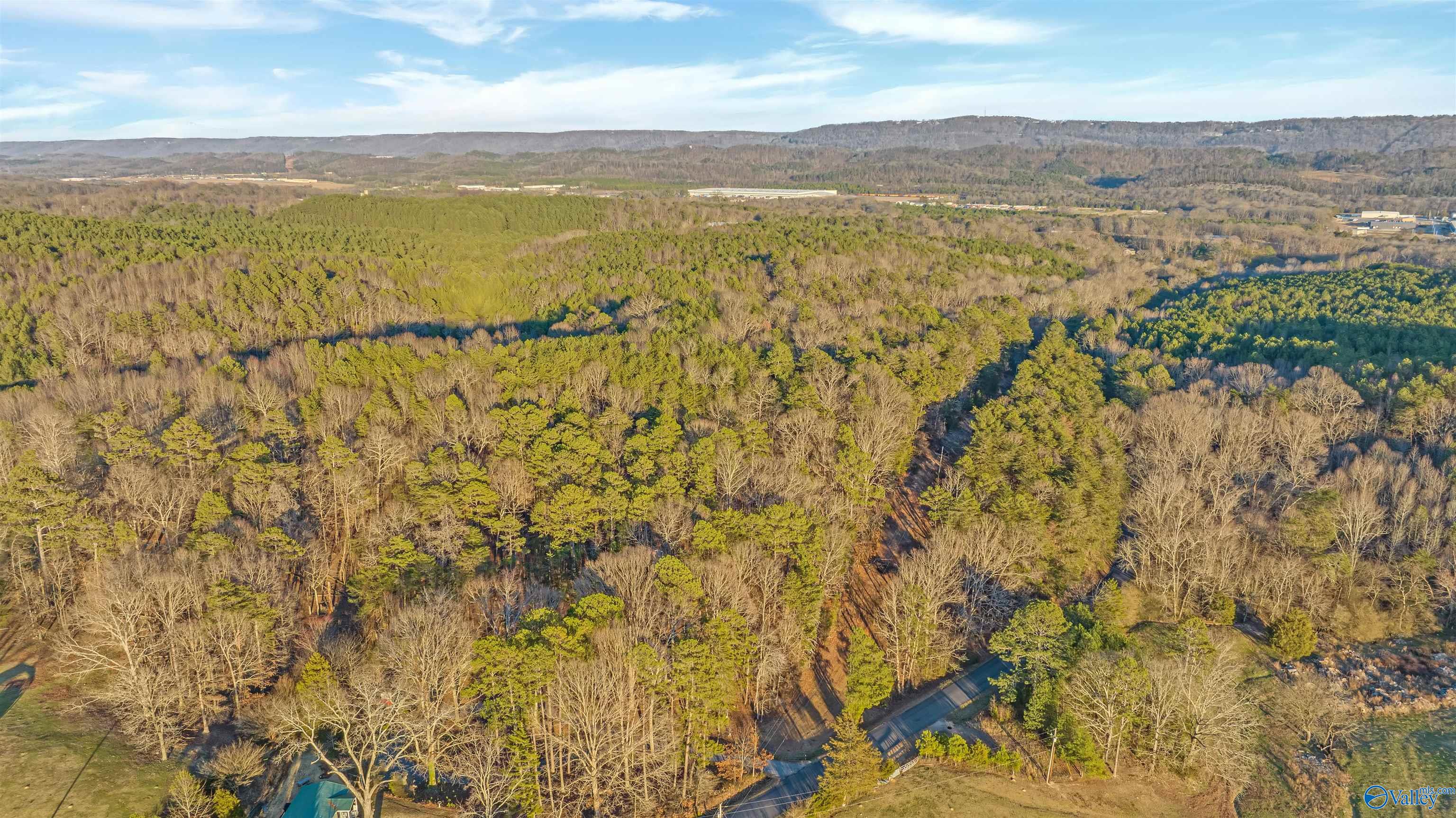 160 Acres Chisenhall Road, Fort Payne, Alabama image 4