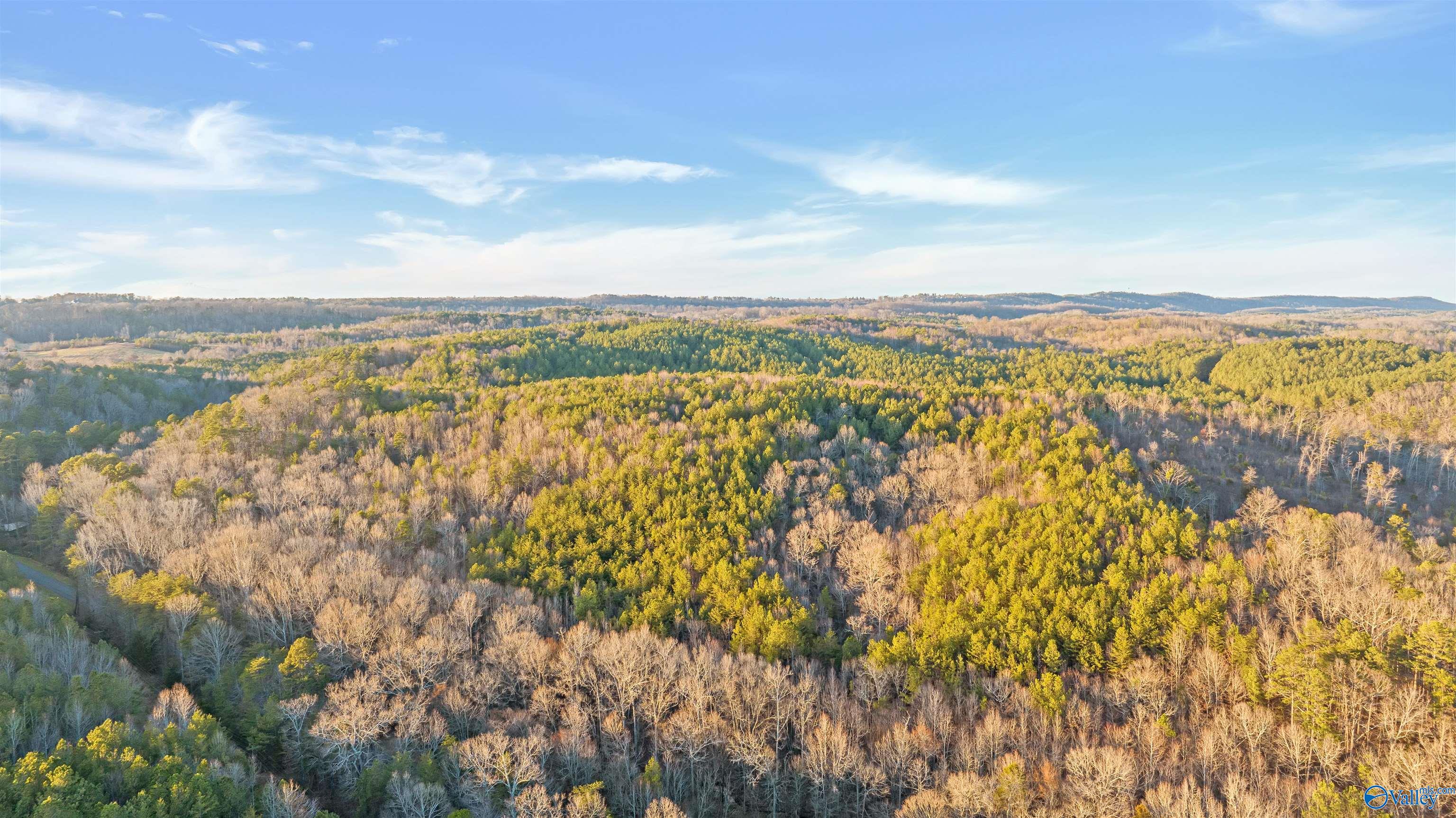 160 Acres Chisenhall Road, Fort Payne, Alabama image 8