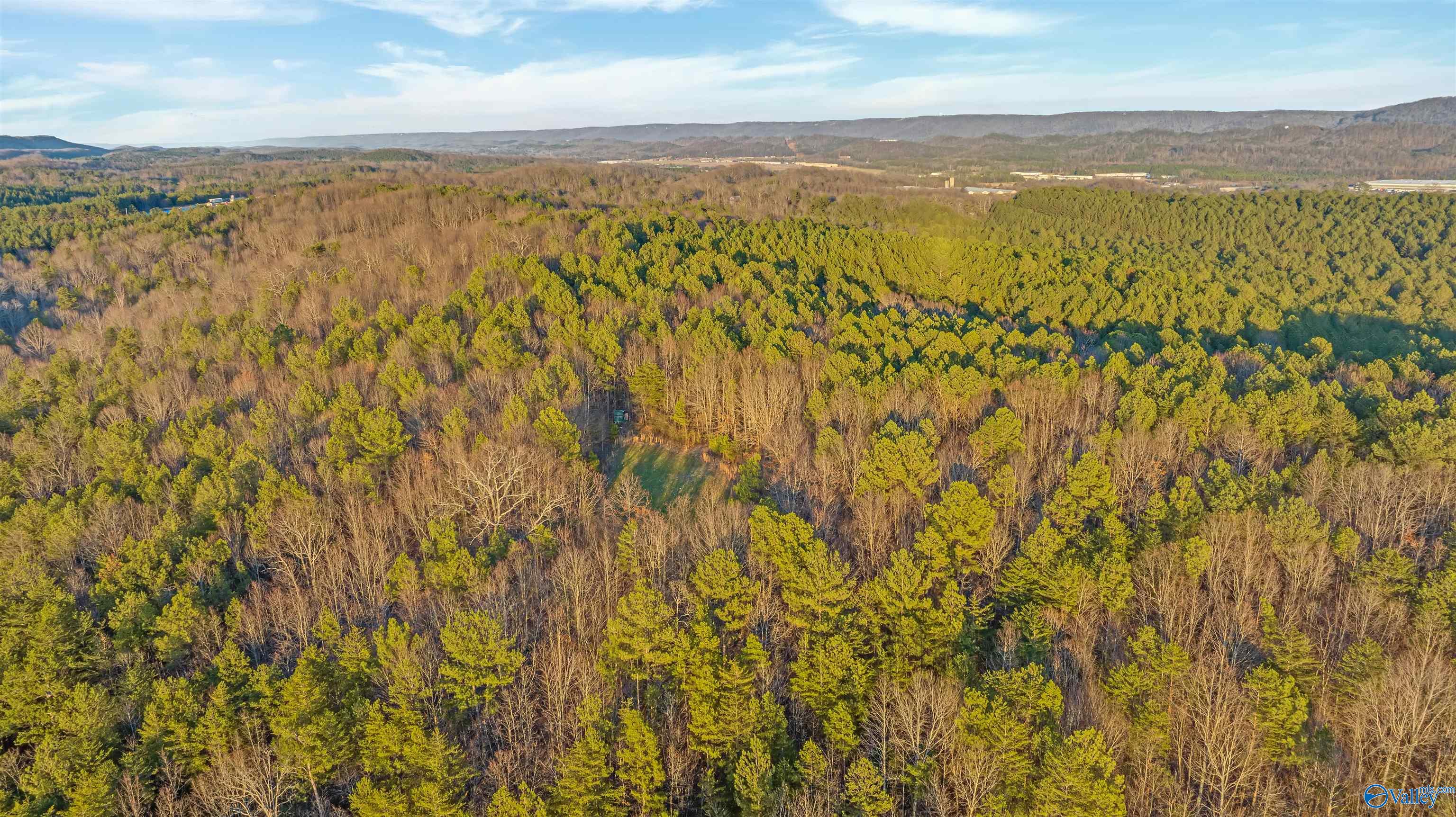 160 Acres Chisenhall Road, Fort Payne, Alabama image 16