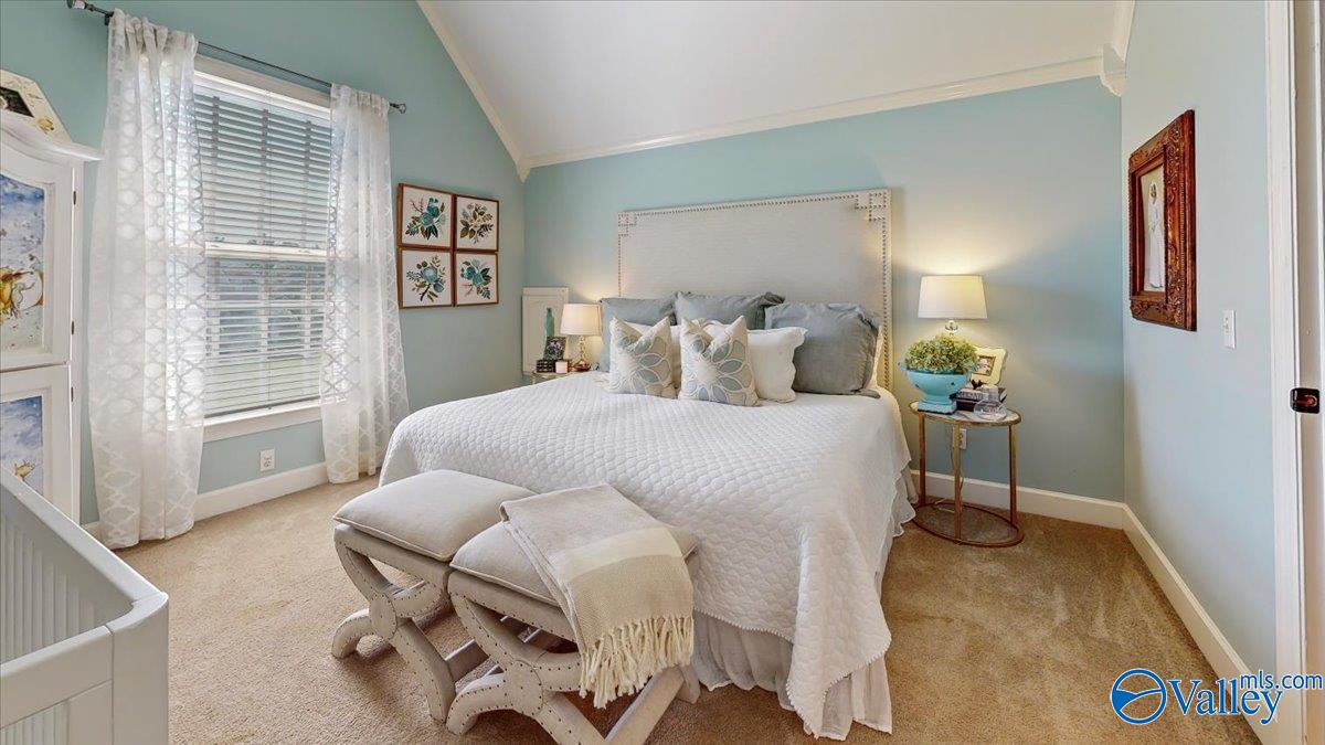 343 St Andrews Lane, Albertville, Alabama image 34