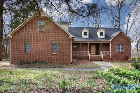 Photo of 112 Deer Run Lane, Harvest, AL 35749 (MLS # 21912416)