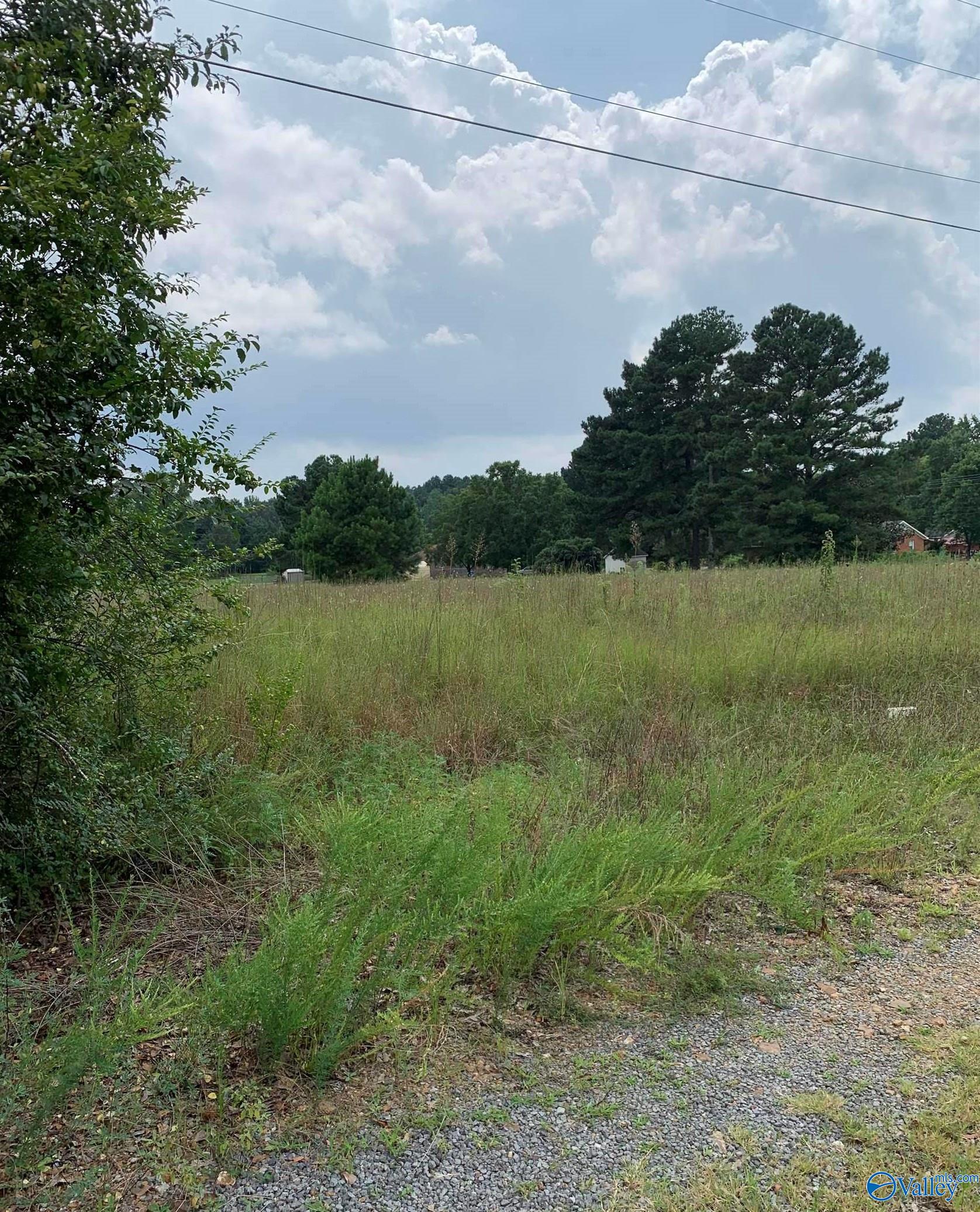 1 Acre On Levert Avenue, Athens, Alabama image 2