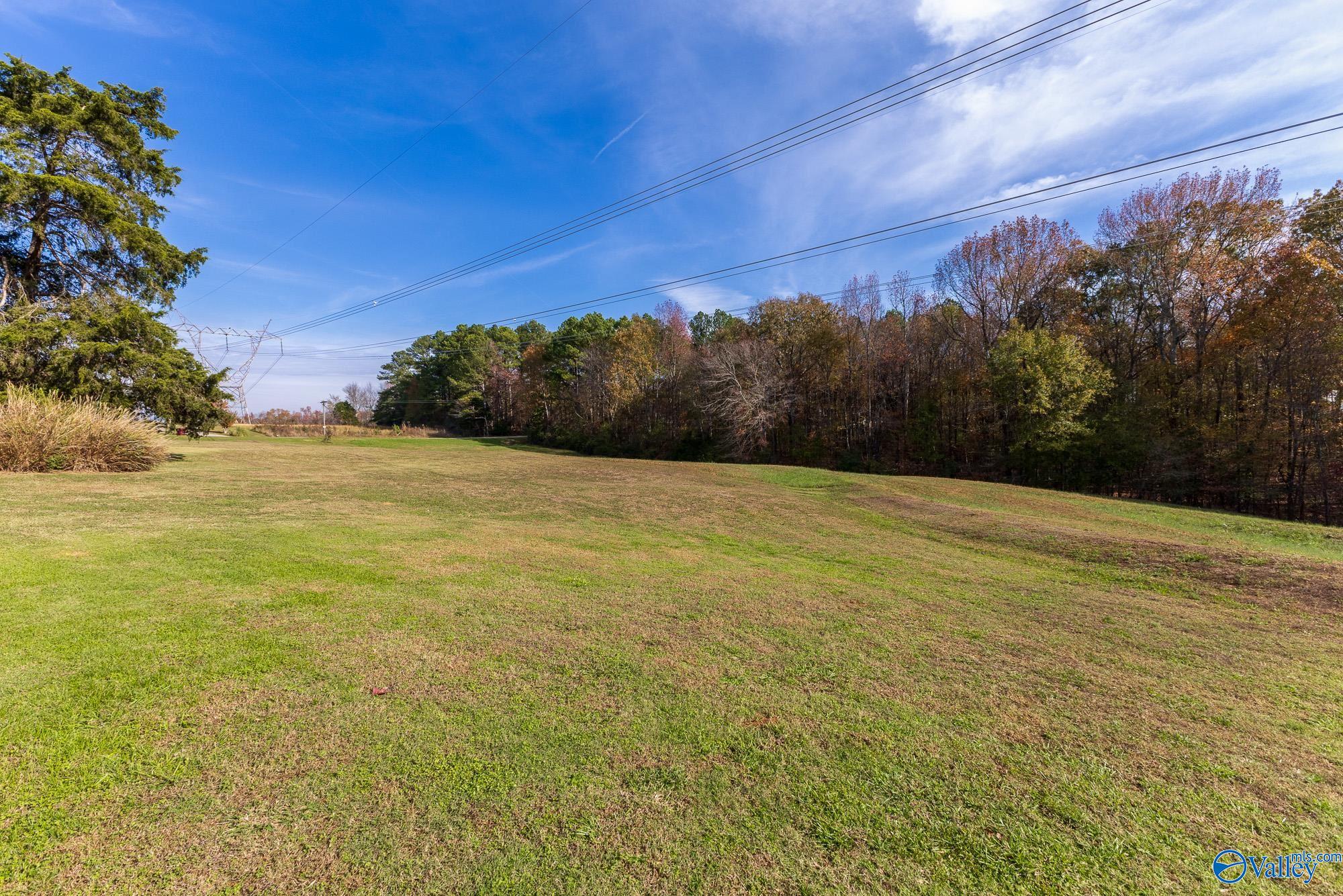 28790 Sagewood Circle, Toney, Alabama image 31