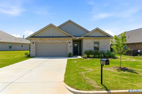 Homes For Sale - 22002 Natures Cove Drive<br/> Athens, AL 35613