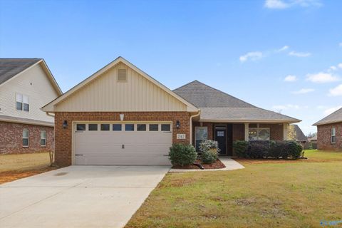Photo of 247 Coral Court, Madison, AL 35756 (MLS # 21912323)