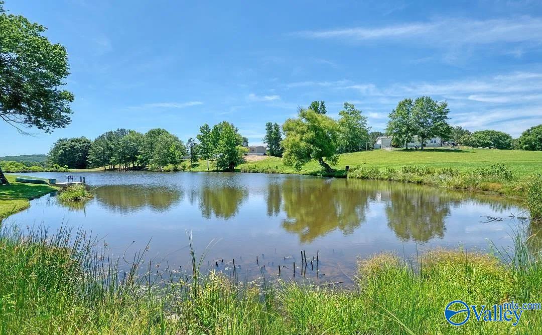 550 Bristow Creek Trail, Altoona, Alabama image 4