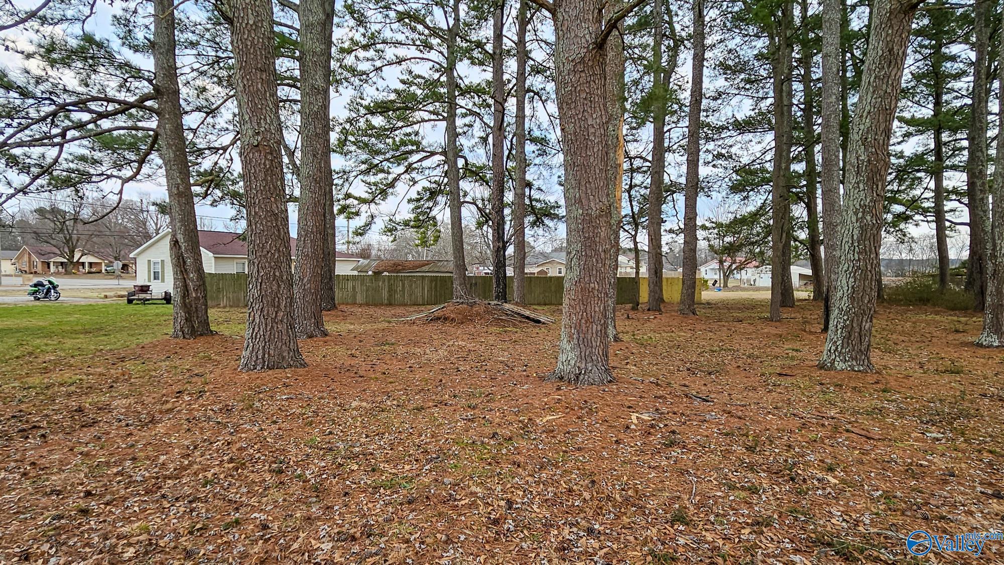 18222 Mcmunn Lane, Athens, Alabama image 25