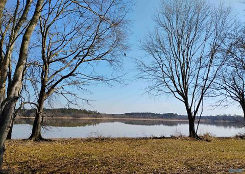 Vacant Land For Sale - LOT 19 County Road 803<br/> Cherokee County, Centre, AL 35960