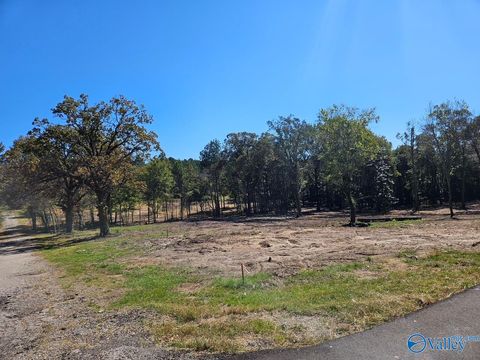 Homes For Sale - LOT 1 Pratt Avenue<br/> Centre, AL 35960