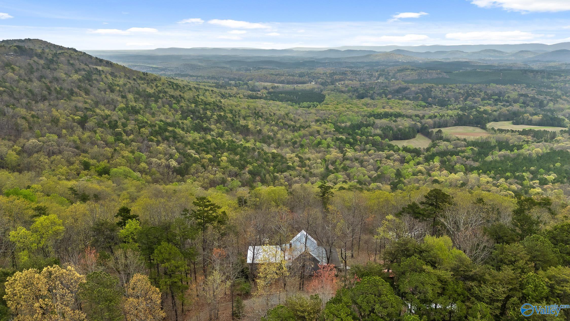 2255 County Road 865, Gaylesville, Alabama image 1