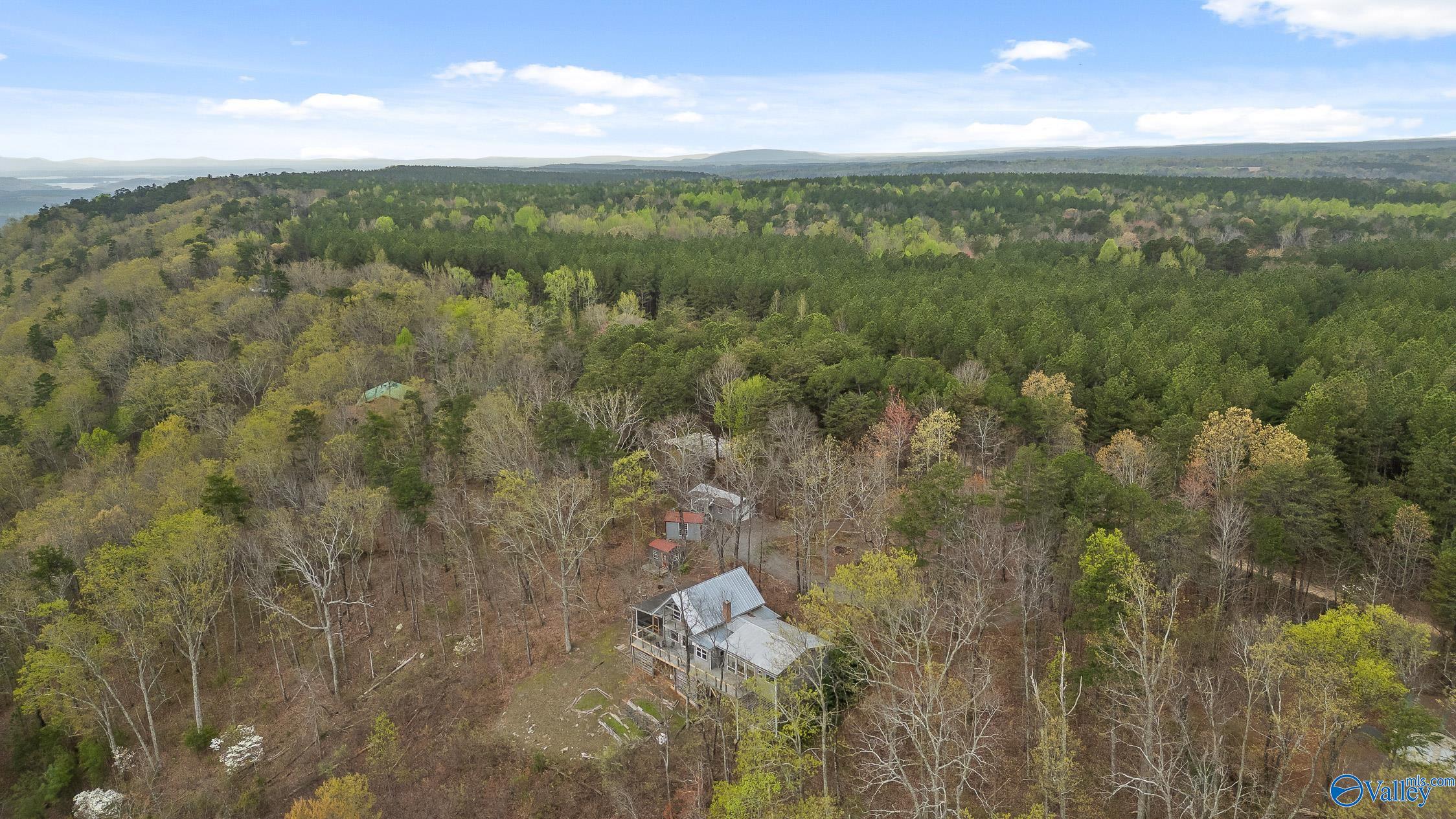 2255 County Road 865, Gaylesville, Alabama image 43