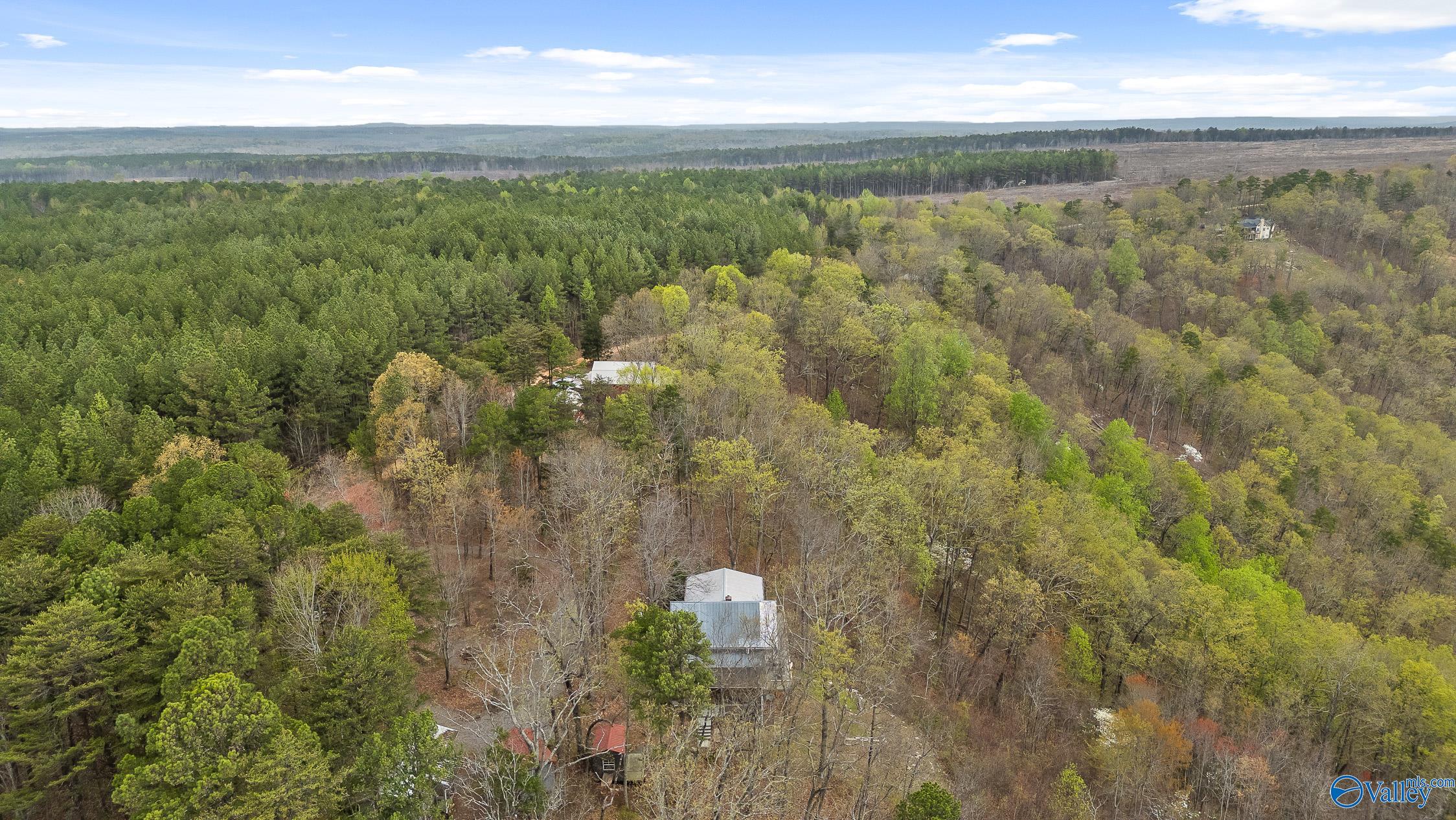 2255 County Road 865, Gaylesville, Alabama image 41