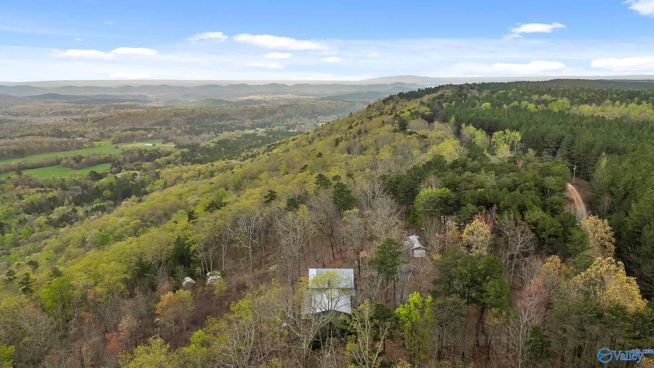2255 County Road 865, Gaylesville, Alabama image 44