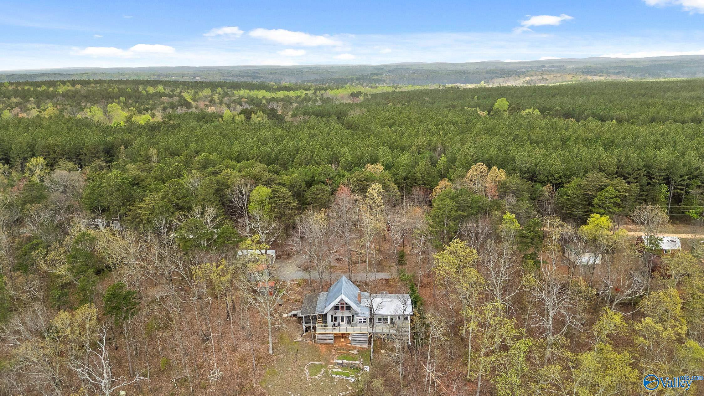 2255 County Road 865, Gaylesville, Alabama image 42