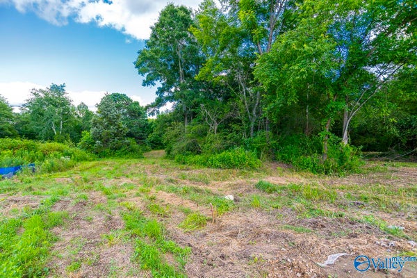 1641 SCOTT RD, HAZEL GREEN, AL 35750 - Image 11e46019abe5b2a438145a2384c3bf28/3869288741