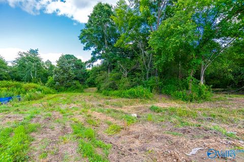 Vacant Land For Sale - 1641 Scott Road<br/> Hazel Green, AL 35750