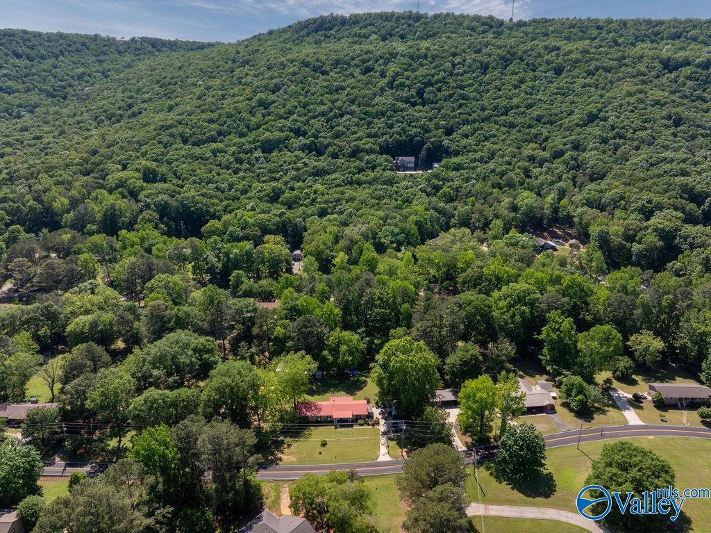 1796 Old Big Cove Road, Owens Cross Roads, Alabama image 3