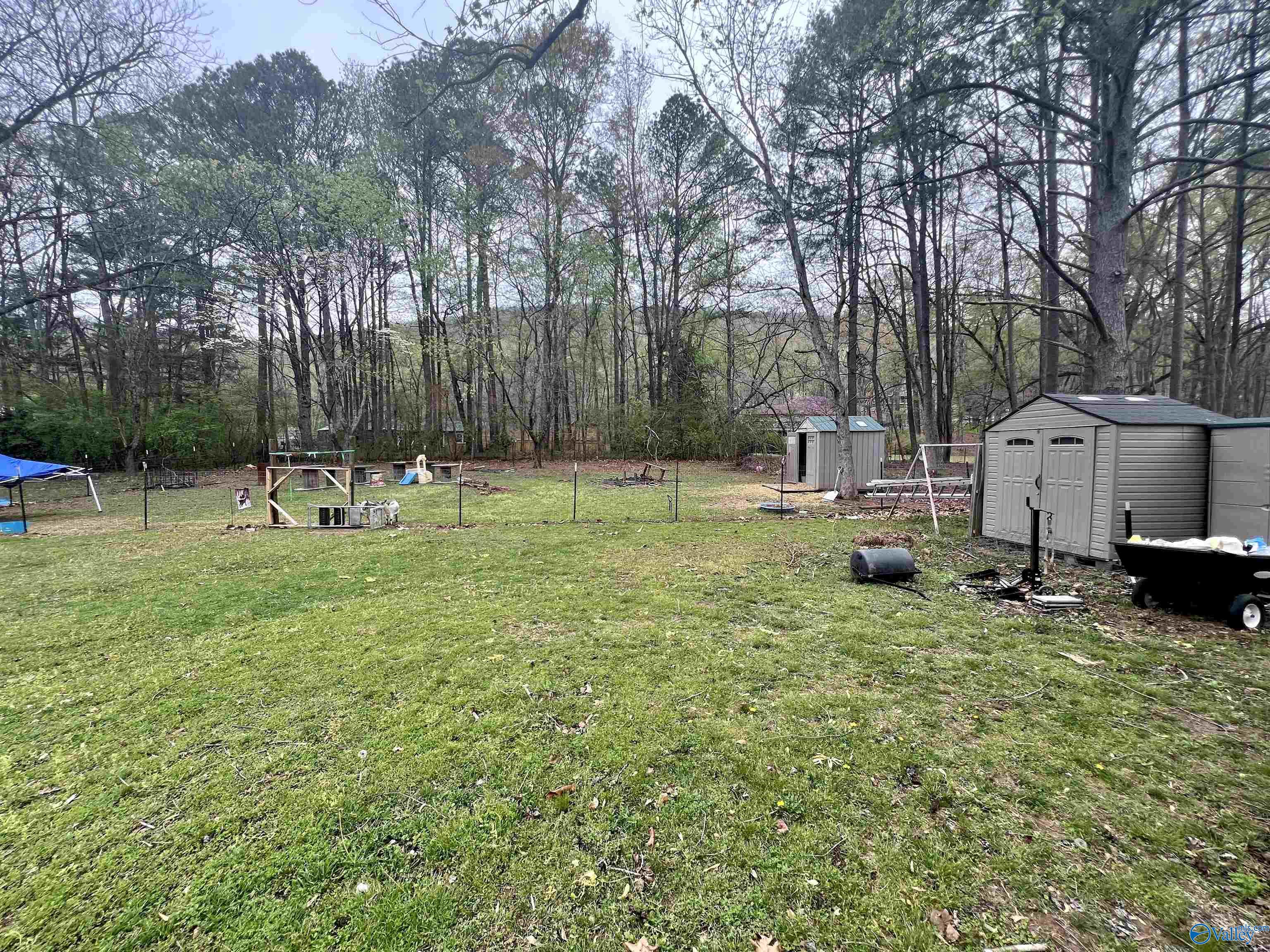 1796 Old Big Cove Road, Owens Cross Roads, Alabama image 3