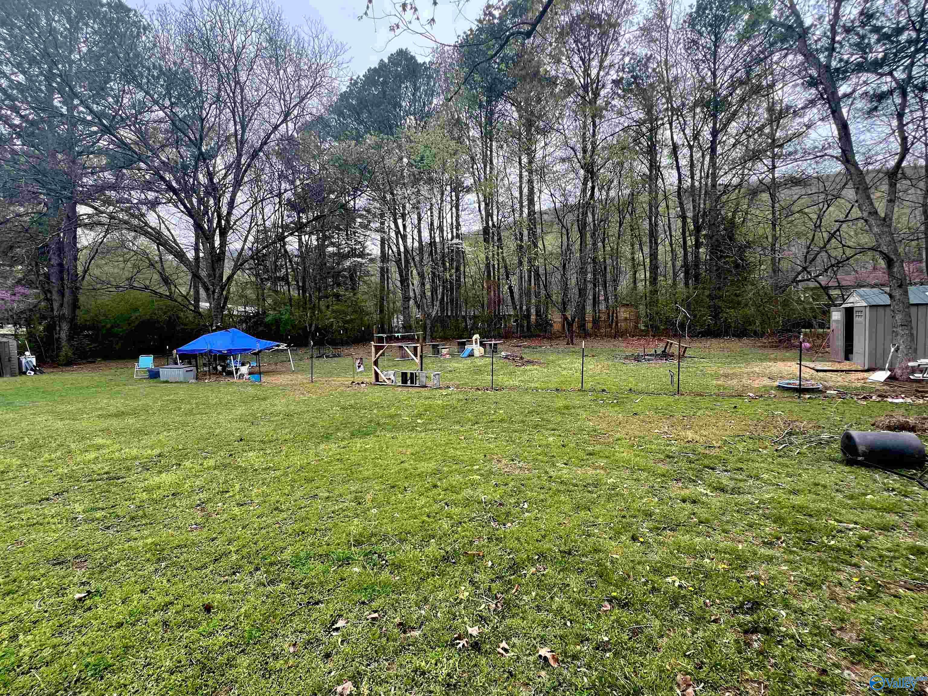 1796 Old Big Cove Road, Owens Cross Roads, Alabama image 5