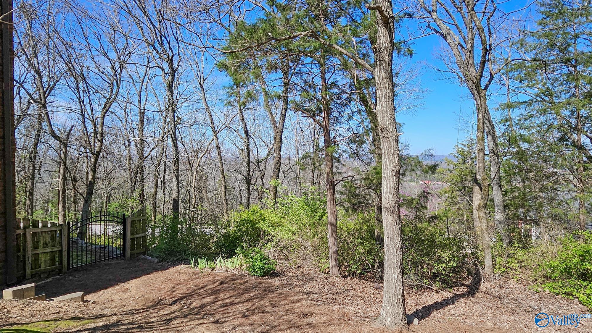 11023 Mathis Mountain Road, Huntsville, Alabama image 44