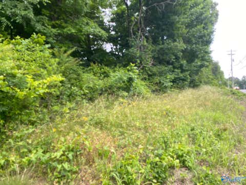 Vacant Land For Sale - LOT 16 Highway 227<br/> Guntersville, AL 35976