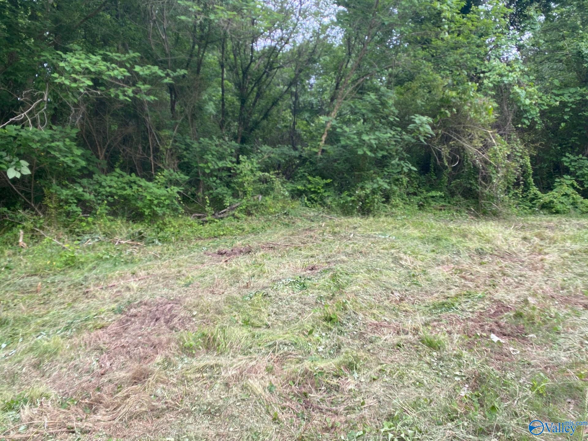 Lot 16 Highway 227
