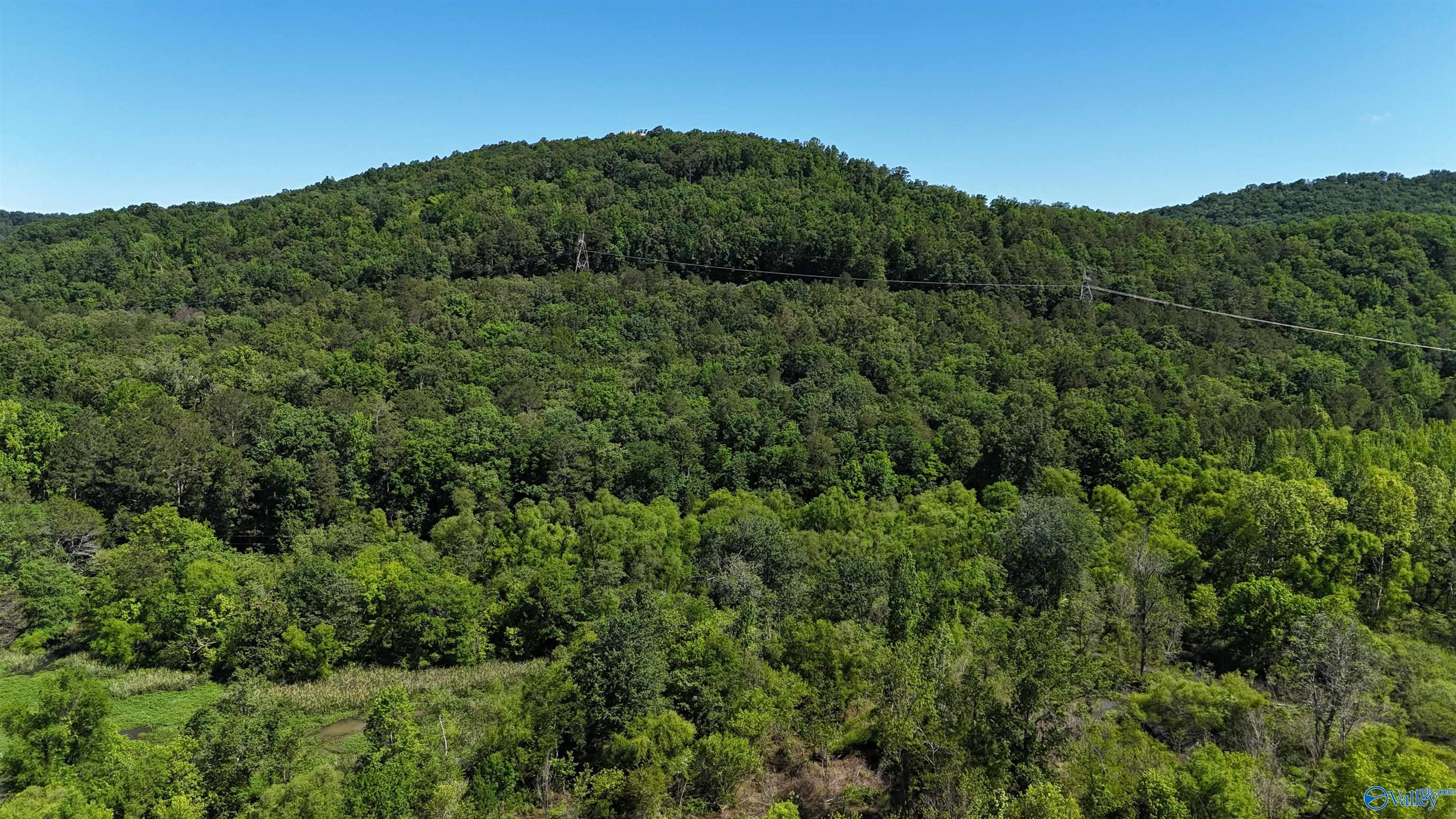 415 Stewart Hollow Road, Grant, Alabama image 1