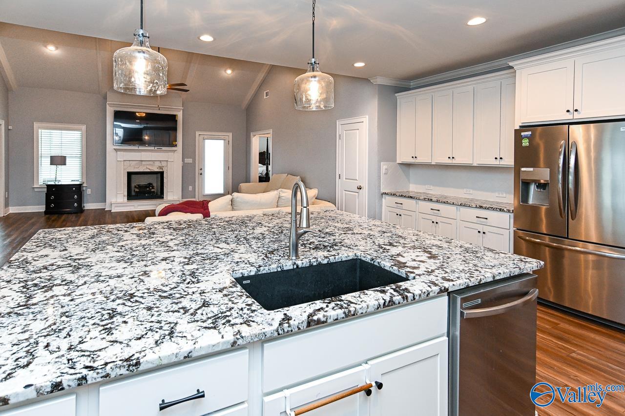 204 Charlie Lee Circle, Meridianville, Alabama image 16