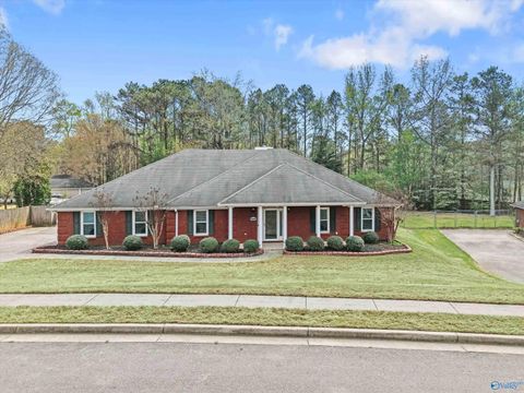 Photo of 102 Faith Loop, Harvest, AL 35749 (MLS # 21917543)